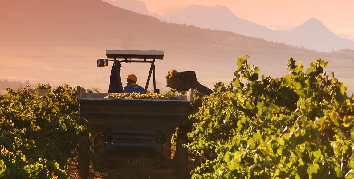 Route des vins