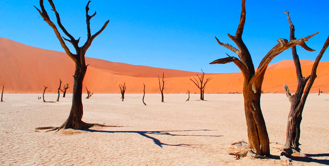 Désert du Namib, Deadvlei