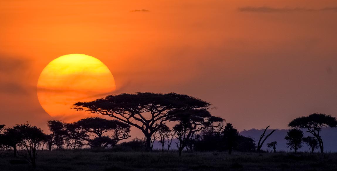 Culture des algues à Zanzibar