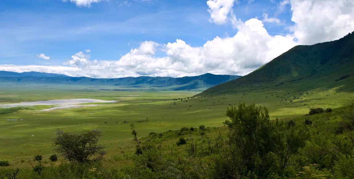 Safari en Tanzanie